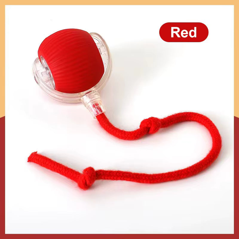 WiggleBall Pro — Self-Rolling Automatic Pet Toy