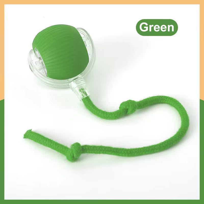 WiggleBall Pro — Self-Rolling Automatic Pet Toy