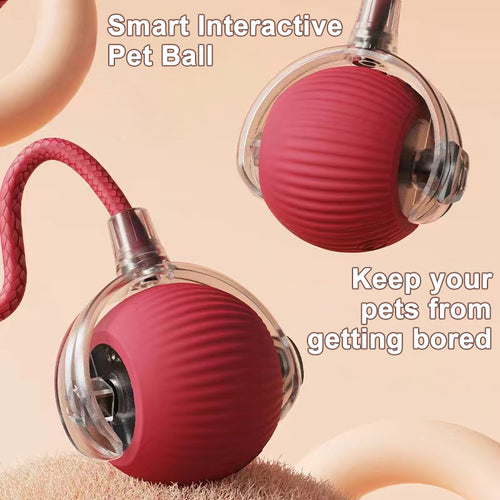 WiggleBall Pro — Self-Rolling Automatic Pet Toy
