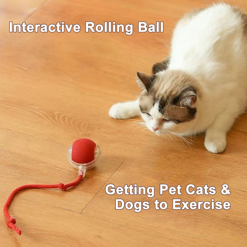 WiggleBall Pro — Self-Rolling Automatic Pet Toy